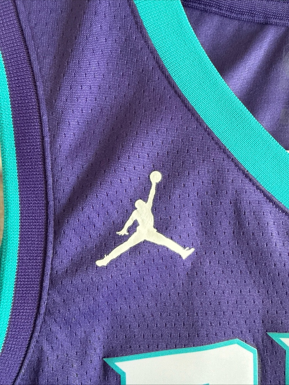 Kid’s Nike Terry Rozier III #3 Charlotte Hornets NBA Jersey Sz Youth M - Picture 5 of 6